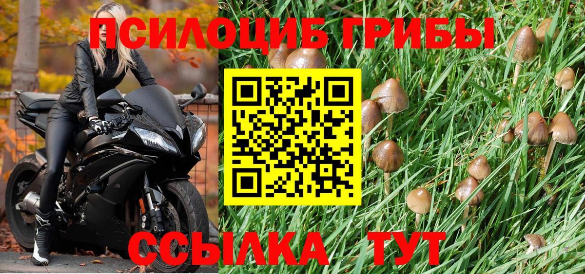 Рязань  Псилоцибиновые грибы MAGIC MUSHROOMS  Вход с VPN 
