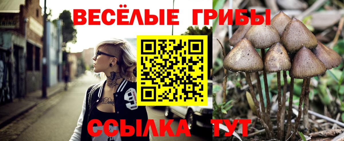 Галлюциногенные грибы Psilocybine cubensis Рязань